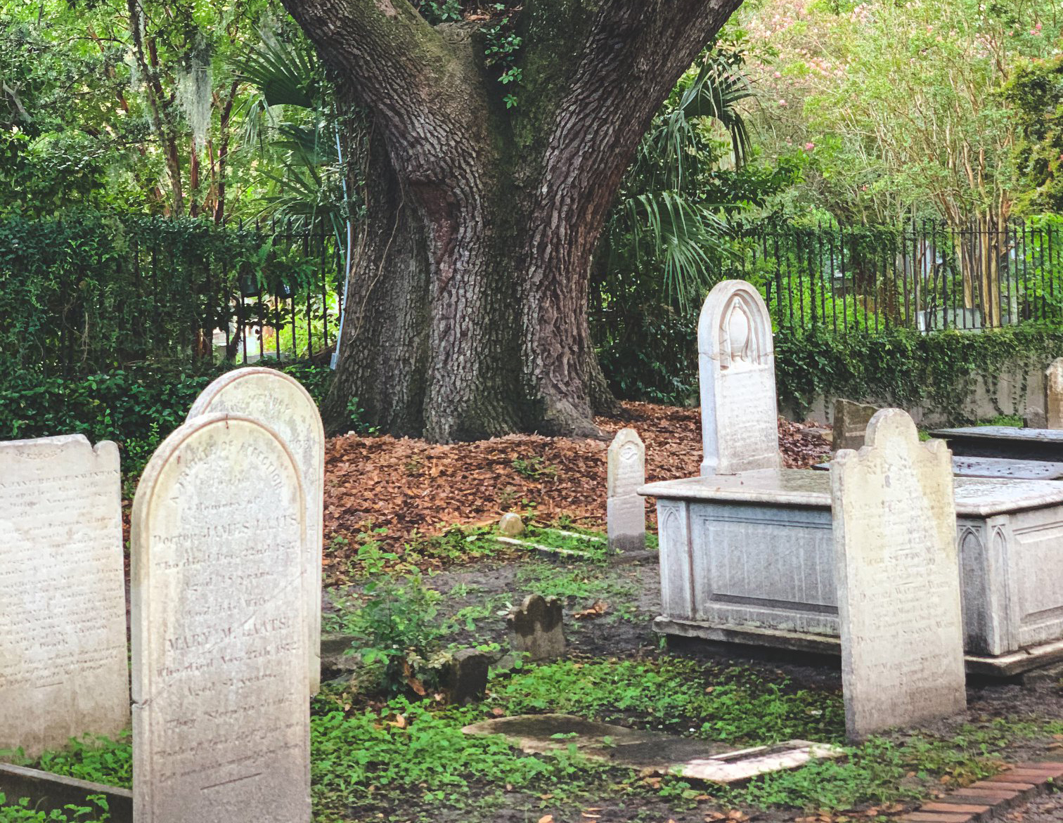 Graveyard in Charleston South Carolina