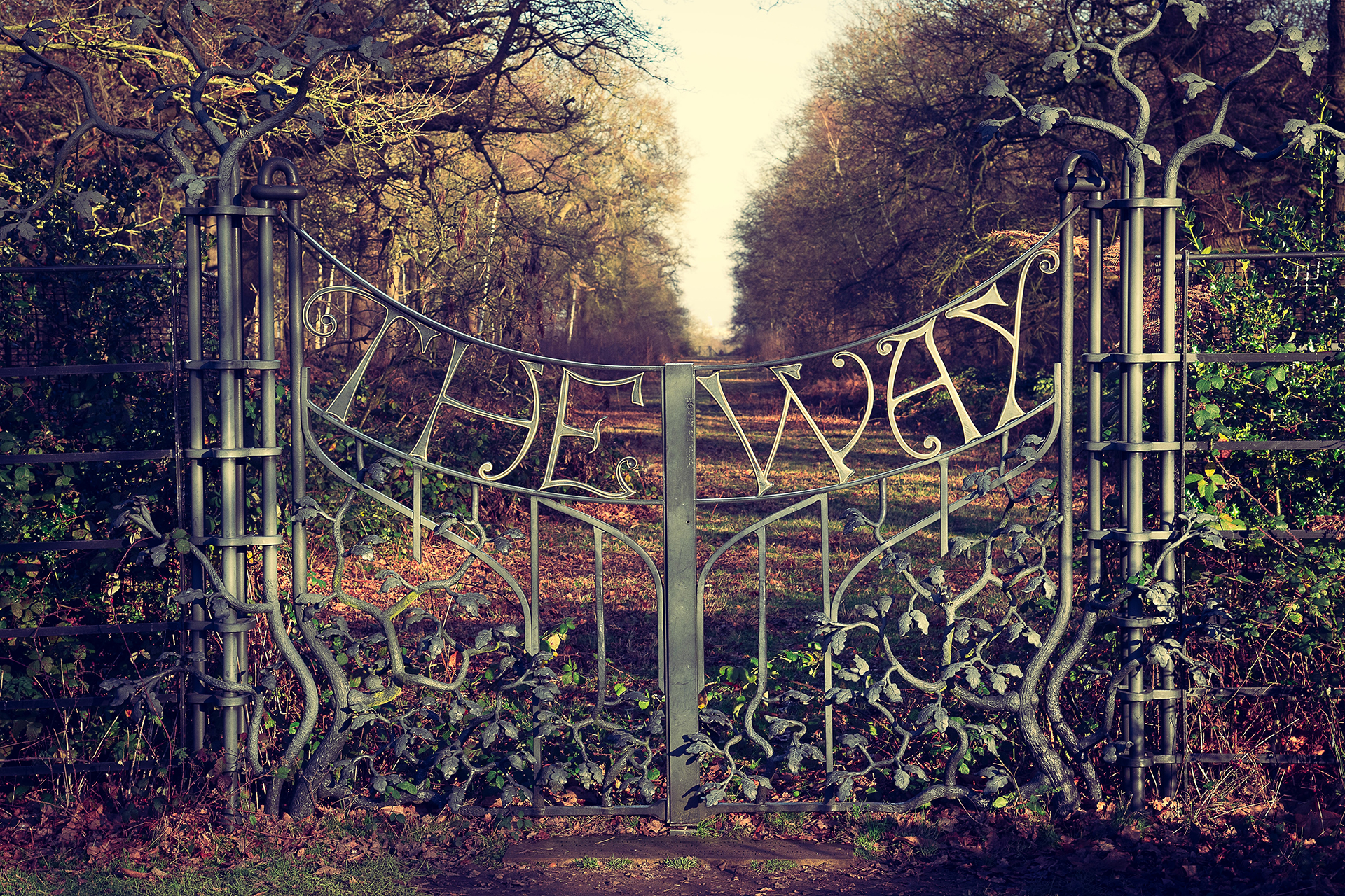 Photo of a gate