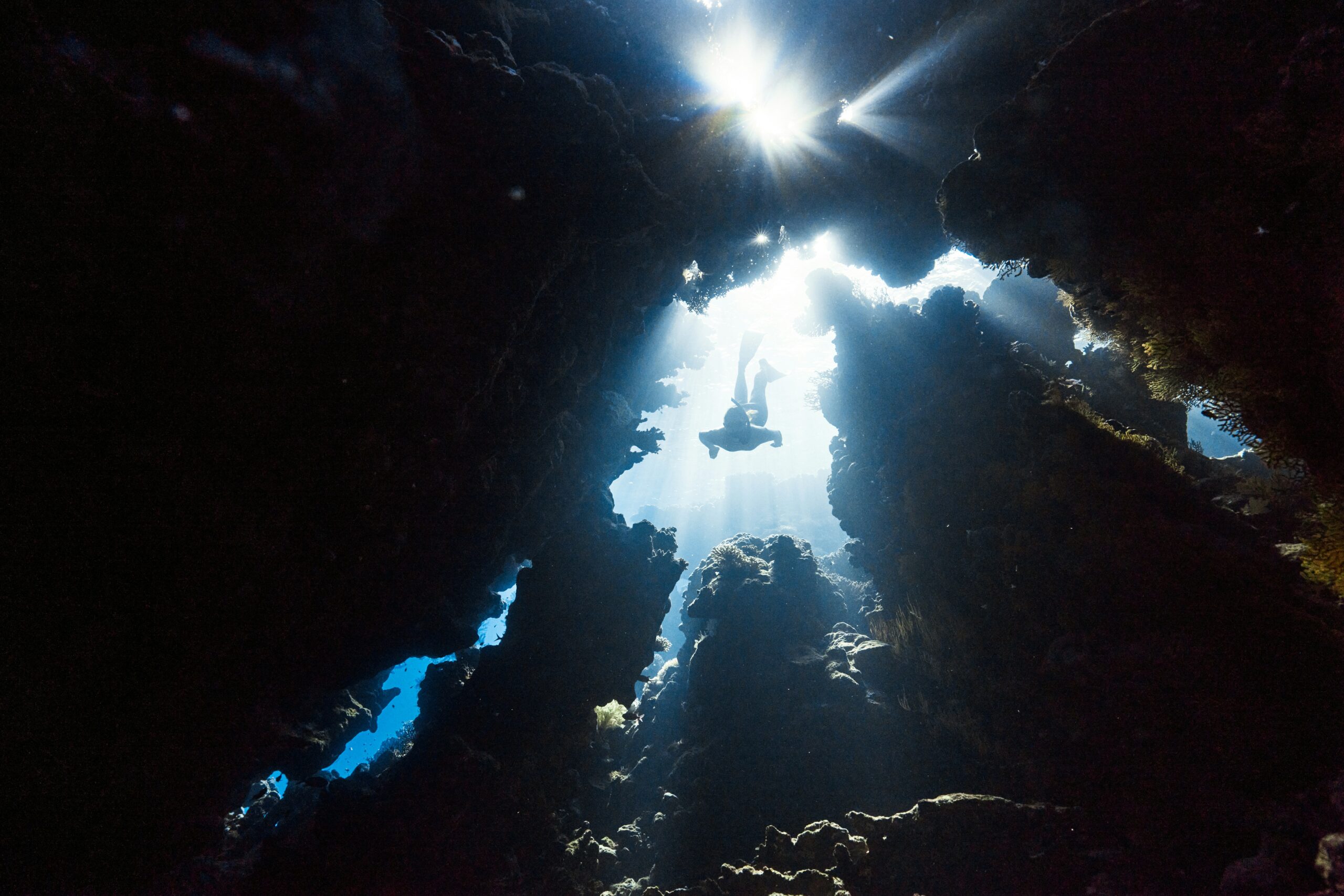 Scuba diver in the ocean.